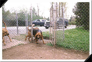homestead 2