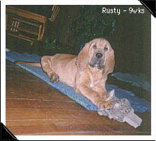 rusty 1